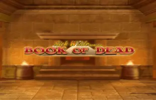 Book of Dead Slot Test